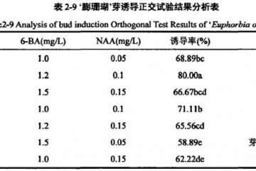不同激素配比对膨珊瑚多肉芽诱的导培研究