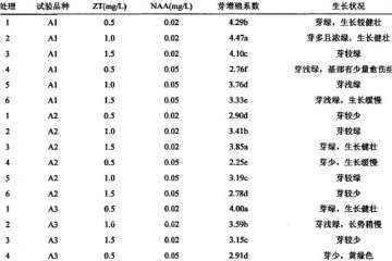 不同激素配比大戟多肉对芽继代増殖的影响