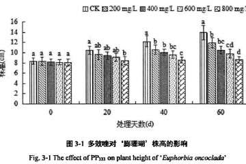 植物生长延缓剂对膨珊瑚多肉株高的影响