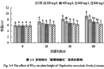 植物生长延缓剂对膨珊瑚多肉缀化株高的影响