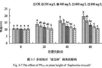 植物生长延缓剂对绿玉树多肉株高的影响