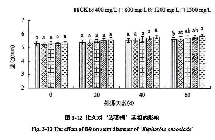 植物生长延缓剂对膨珊瑚多肉茎粗的影响