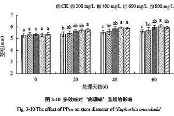 植物生长延缓剂对膨珊瑚多肉茎粗的影响