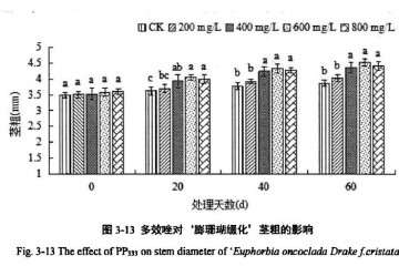 植物生长延缓剂对膨珊瑚多肉缀化的影响