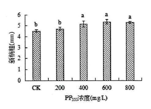 植物生长延缓剂对膨珊瑚多肉新梢粗的影响