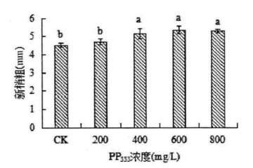 植物生长延缓剂对膨珊瑚多肉新梢粗的影响