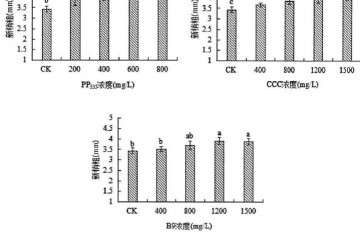植物生长延缓剂对膨珊瑚多肉缀化新的影响