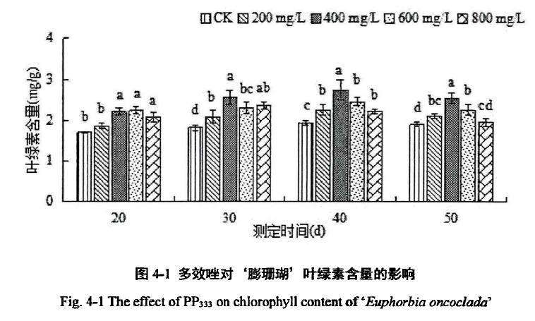 多效唑对膨珊瑚多肉叶绿素含量的影响