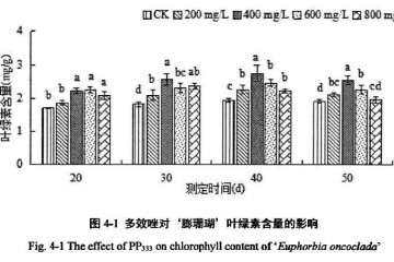 多效唑对膨珊瑚多肉叶绿素含量的影响