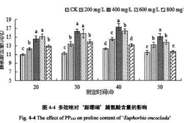 多效唑对多肉植株脯氨酸含量的影响