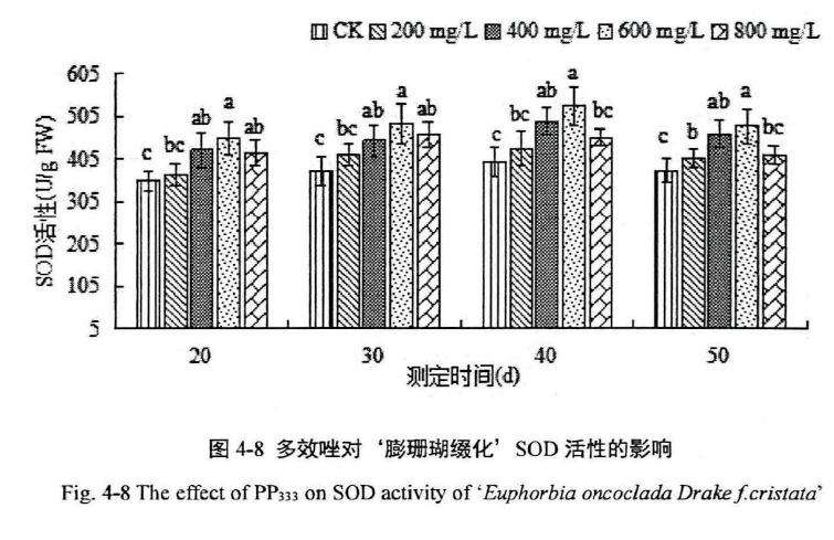 多效唑对膨珊瑚多肉超氧化物歧化酶活性的影响