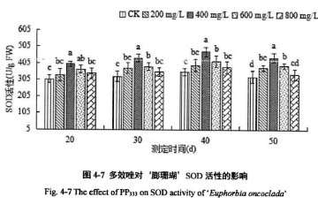 多效唑对膨珊瑚多肉超氧化物歧化酶活性的影响