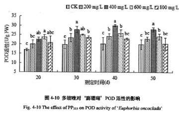 多效唑对膨珊瑚多肉植株过氧化物酶活性的影响