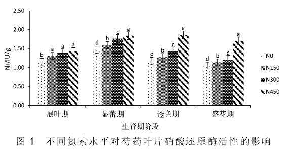 供氮水平对盆栽芍药酶活性的影响