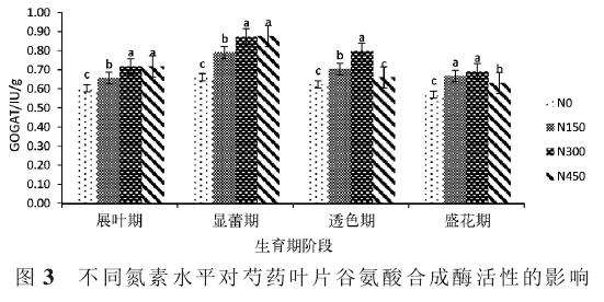 供氮水平对盆栽芍药谷氨酰胺合成酶活性的影响