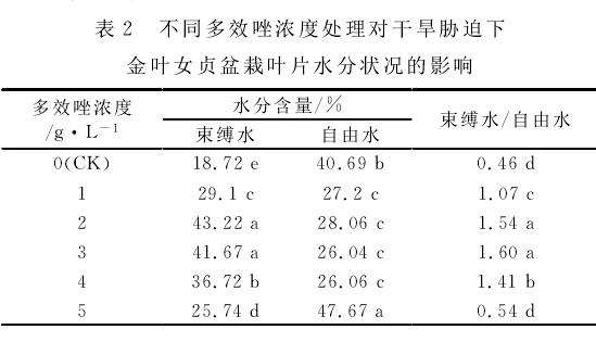 多效唑对女贞盆栽叶片水分状况的影响