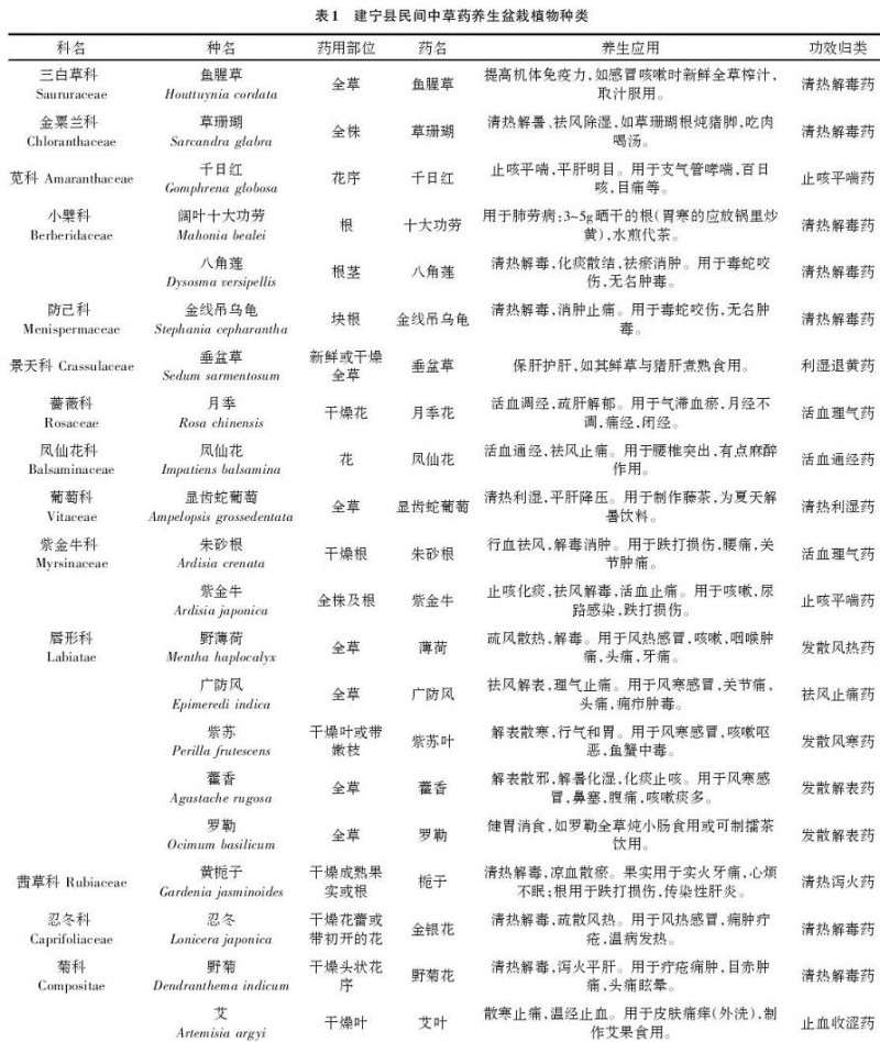 福建省建宁县民间中草药养生盆栽种类调查