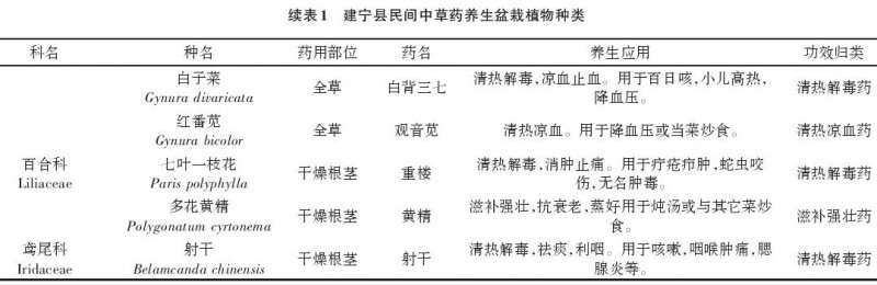 福建省建宁县民间中草药养生盆栽种类调查