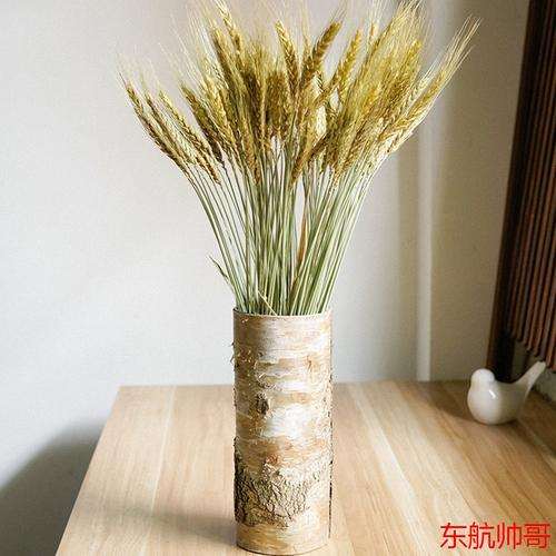 改性凹凸棒土添加对盆栽小麦植株重金属的影响