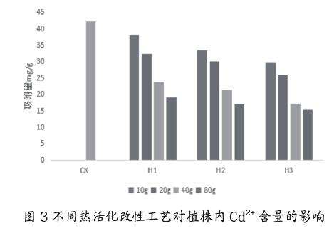不同热活化处理对盆栽小麦重金属的影响