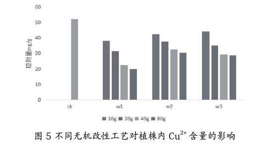 不同无机改性对盆栽小麦内重金属的影响
