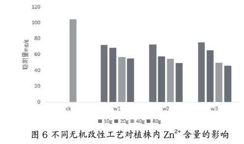 不同无机改性对盆栽小麦内重金属的影响