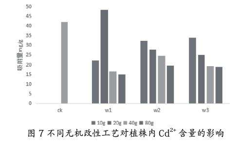 不同无机改性对盆栽小麦内重金属的影响