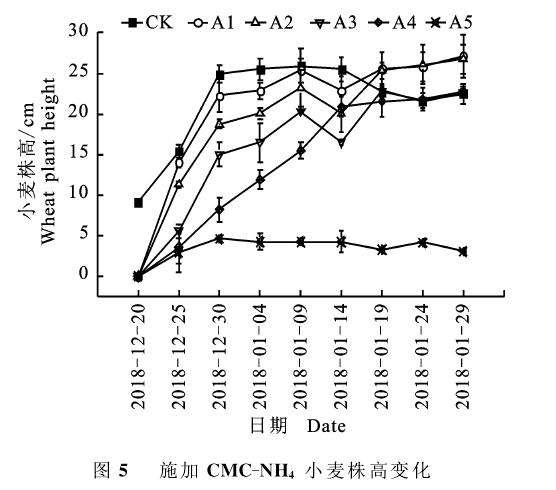 不同改性纤维素对小麦盆栽植株生长的影响