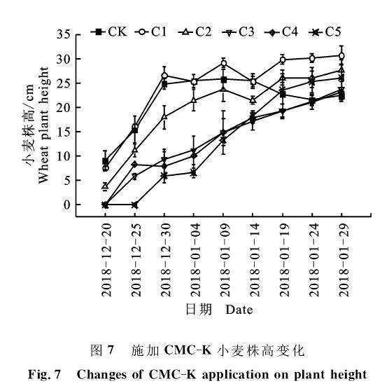 不同改性纤维素对小麦盆栽植株生长的影响