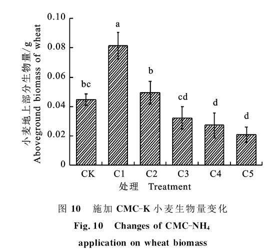 外植体灭菌处理对大戟多肉有什么影响