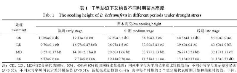 不同干旱胁迫处理对艾纳香盆栽地径的影响