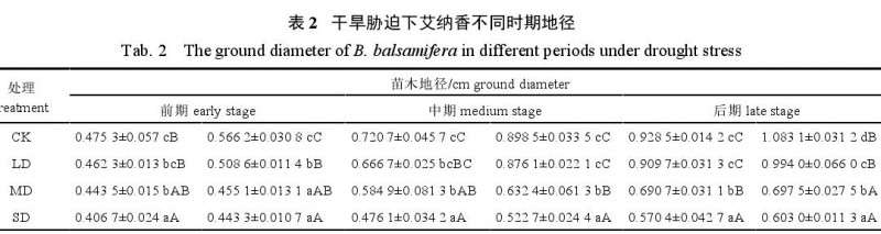 不同干旱胁迫处理对艾纳香盆栽根冠比的影响