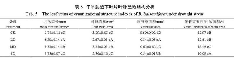 不同干旱胁迫处理对艾纳香盆栽叶片的影响