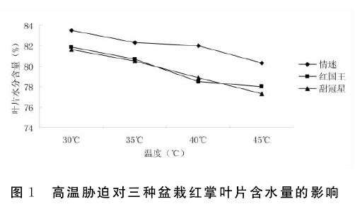 高温胁迫对红掌盆栽叶片相对含水量的影响