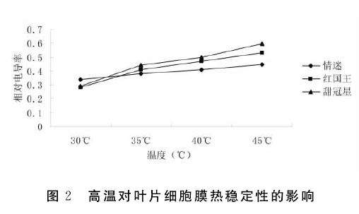 高温胁迫对红掌盆栽叶片相对含水量的影响