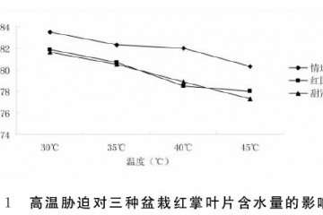 高温胁迫对红掌盆栽叶片相对含水量的影响