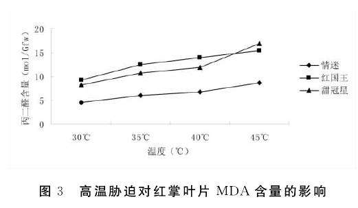 高温胁迫对红掌盆栽叶片MDA含量的影响