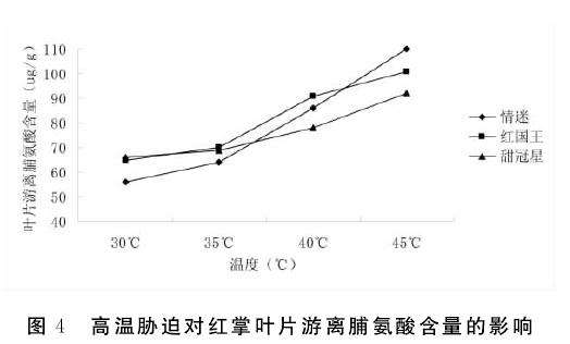 高温胁迫对红掌盆栽叶片MDA含量的影响