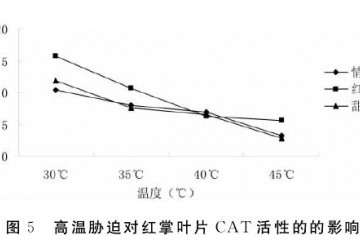 不同高温对盆栽红掌叶片CAT活性的影响