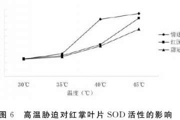 不同高温对盆栽红掌叶片sod活性的影响