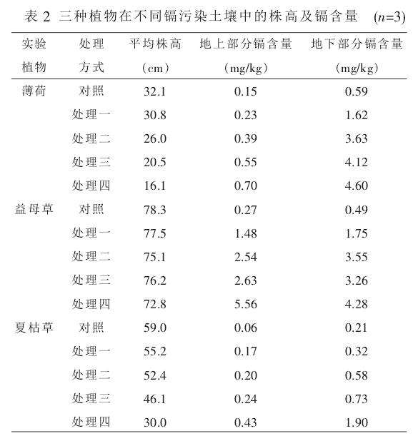 盆栽实验不同镉浓度污染土壤中的镉含量