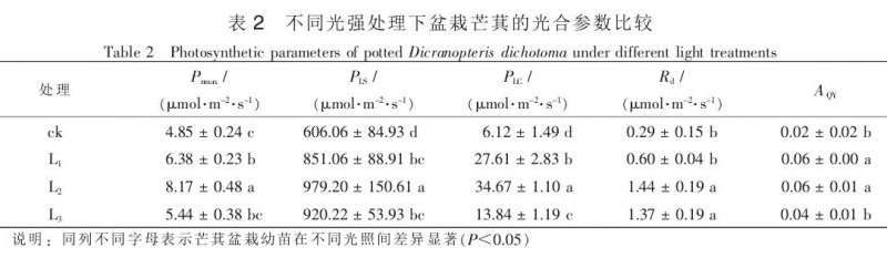 不同光强处理对盆栽芒萁光合参数的影响