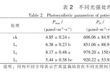 不同光强处理对盆栽芒萁光合参数的影响