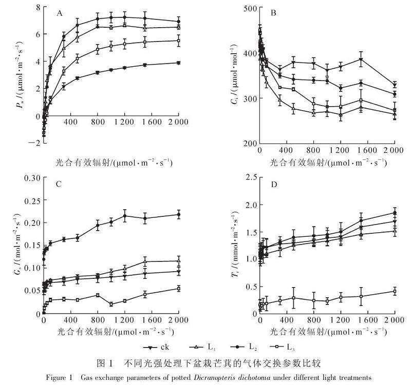 不同光强处理对盆栽芒萁气体交换参数的影响