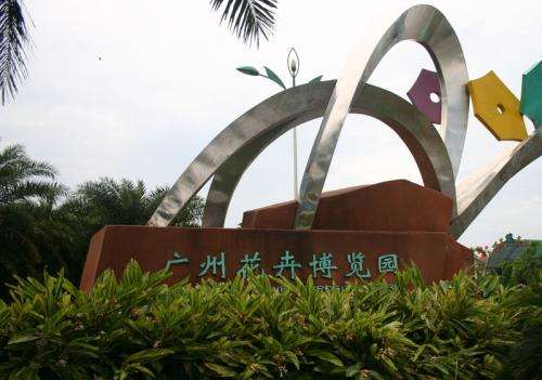 广州花卉消费市场的发展趋势 图片