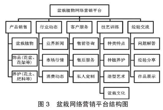 怎么建立盆栽植物网络营销服务平台 图片