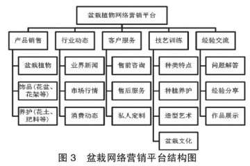 怎么建立盆栽植物网络营销服务平台 图片