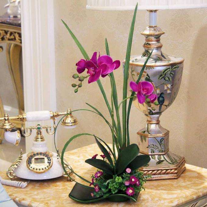 蝴蝶兰组合盆栽怎么制作的方法 图片