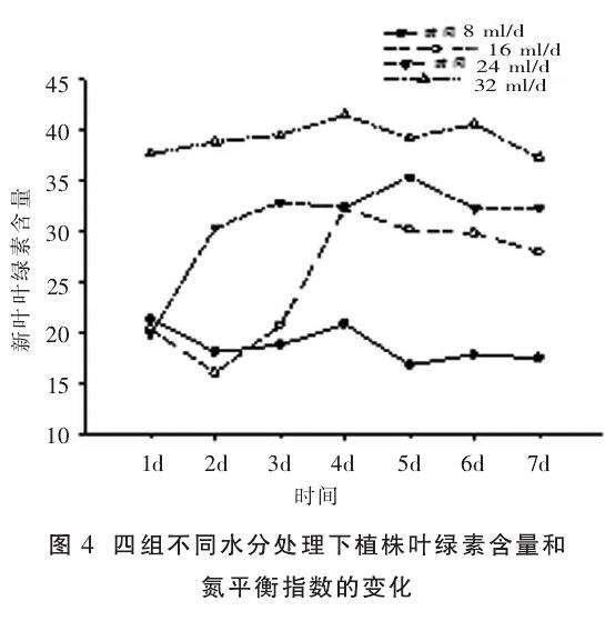 水分对人参榕盆栽植株有什么影响 图片