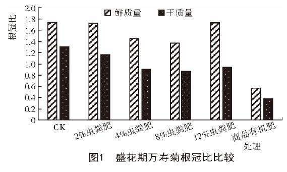 不同处理对万寿菊盆栽生长性状的影响